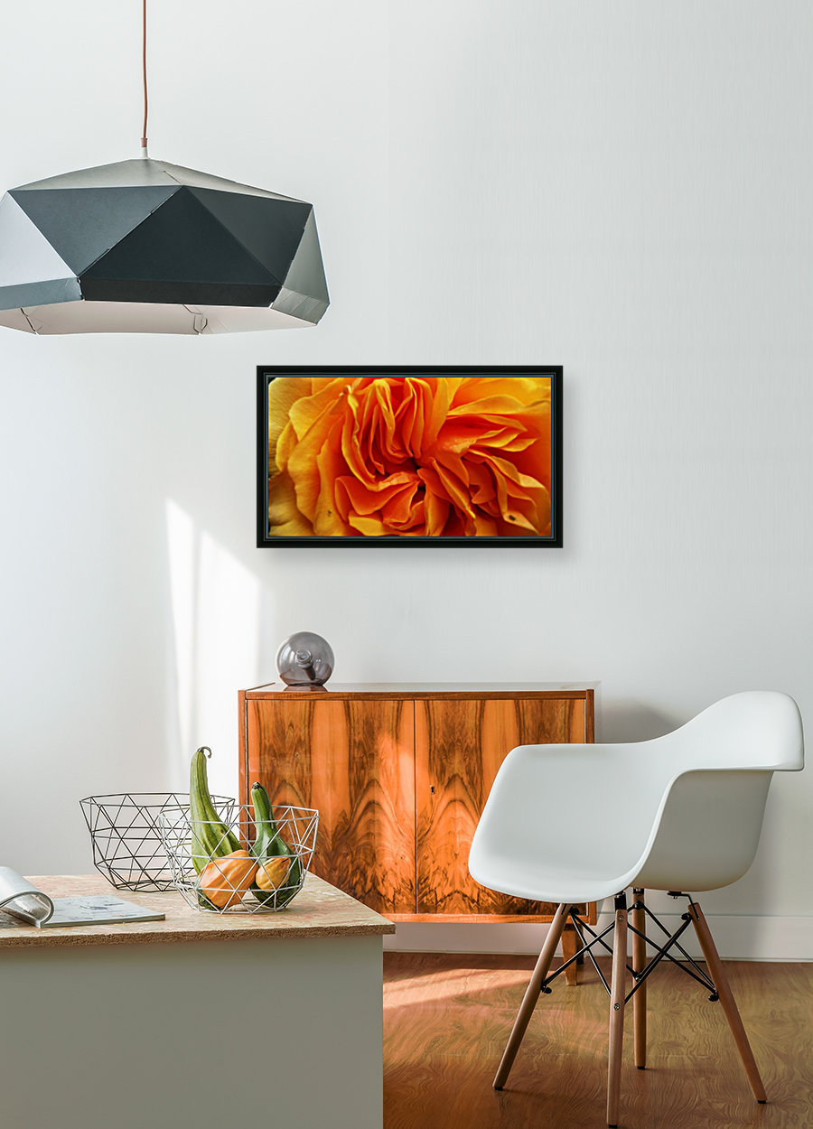 Orange Flower Petals Macro Close Up Golden Yellow Reproduction
