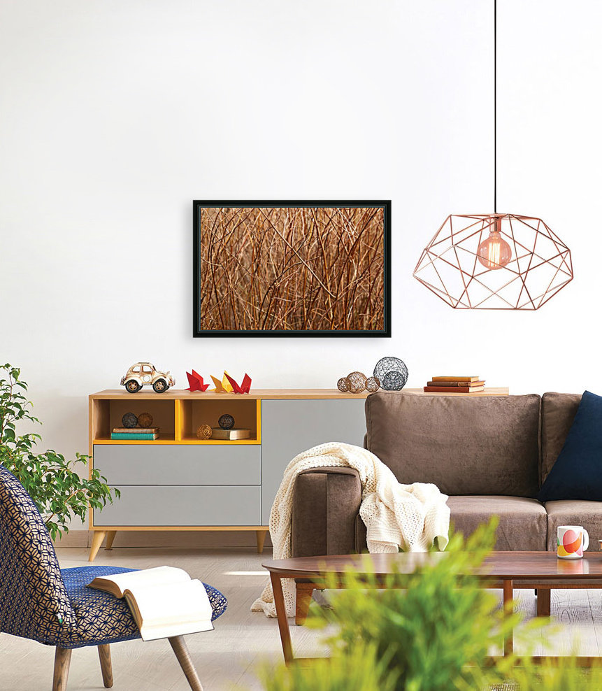 Abstract Background Branch Brown Color Flora Reproduction