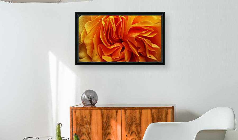 Orange Flower Petals Macro Close Up Golden Yellow Reproduction