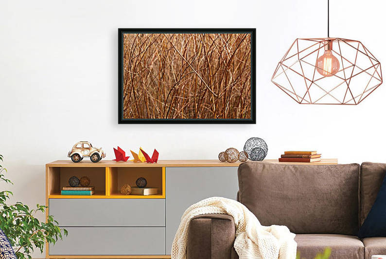 Abstract Background Branch Brown Color Flora Reproduction