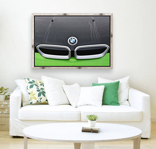 bmw Reproduction
