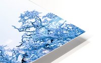 nature Impression metal HD