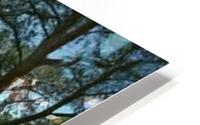landscape_2_0321 HD Metal print