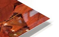 ST-Maple HD Metal print