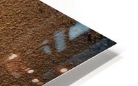 landscape_2_0814 HD Metal print