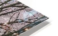 landscape_2_0949 HD Metal print