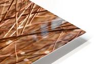 Abstract Background Branch Brown Color Flora HD Metal print