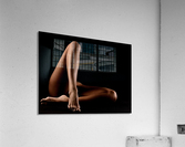 _ADT2280 Acrylic Print