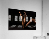 _ADT2214 Acrylic Print