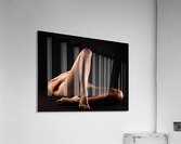 _ADT2274 Acrylic Print