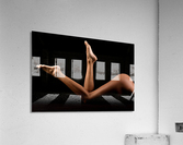 _ADT2221_2 Acrylic Print