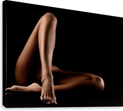_ADT2280 Canvas Print