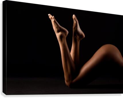 _ADT2214 Canvas Print