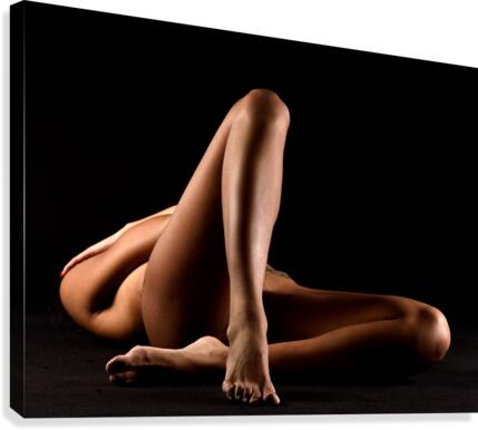 _ADT2274 Canvas Print