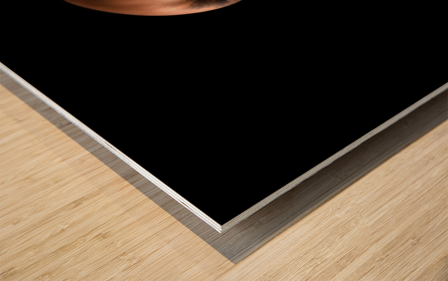 _ADT2260 Wood print