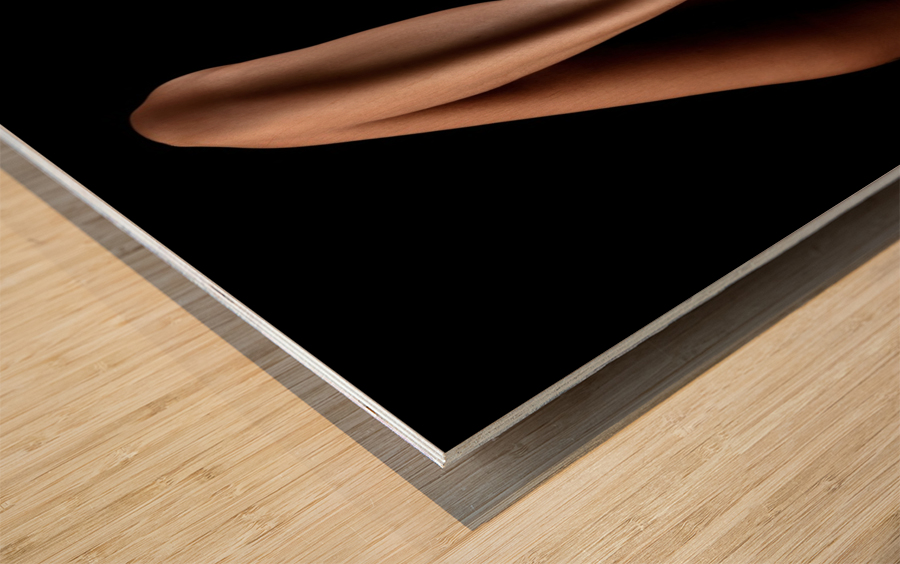 _ADT2280 Wood print
