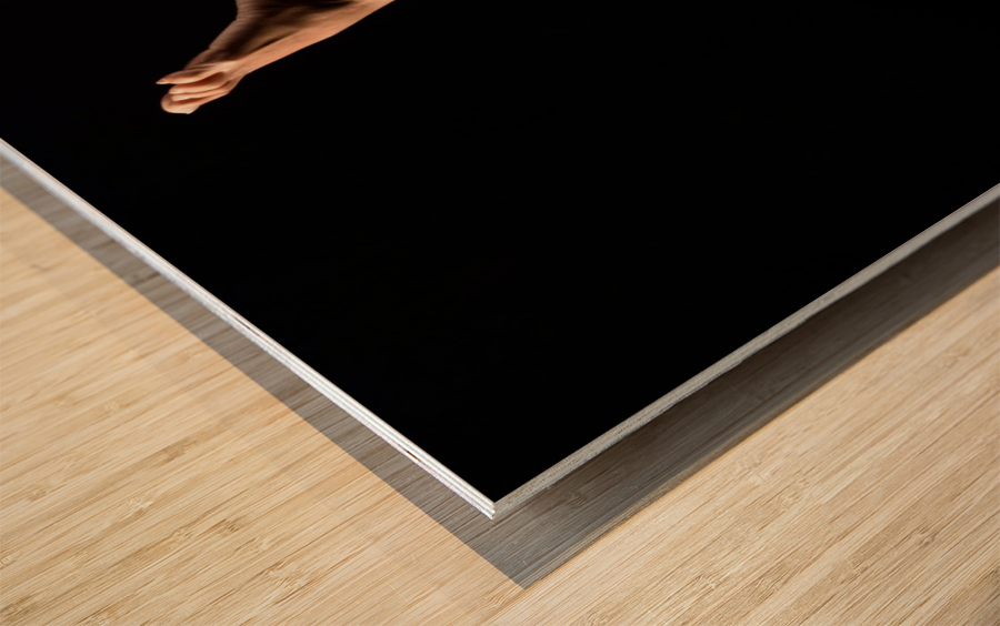 _ADT2214 Wood print