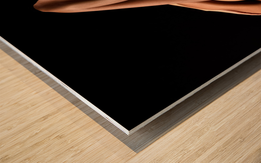 _ADT2274 Wood print