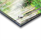 Colorado Landscapes 26 Acrylic print