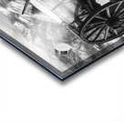 black and white Acrylic print