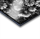black and white Acrylic print