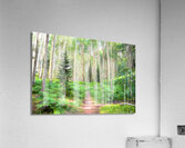 Colorado Landscapes 26 Acrylic Print