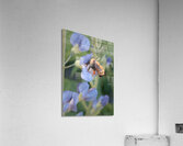 Floral Collection 5 Acrylic Print