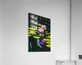 Floral Collection 4 Acrylic Print