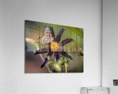 Floral Collection 3 Acrylic Print
