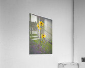 Floral Collection 2 Acrylic Print