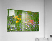 Floral Collection 1 Acrylic Print