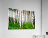 Landscape Acrylic Print