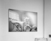 black and white Acrylic Print