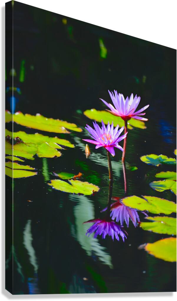 Floral Collection 4 Canvas Print