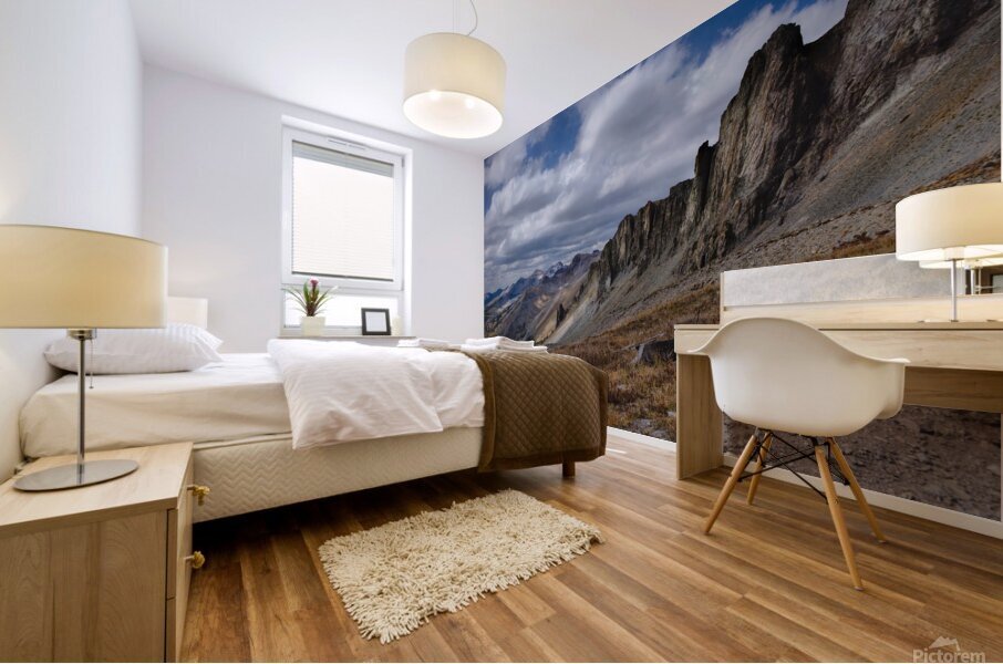 Colorado Landscapes 4 Mural print