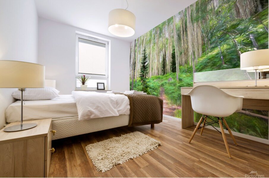 Colorado Landscapes 26 Mural print