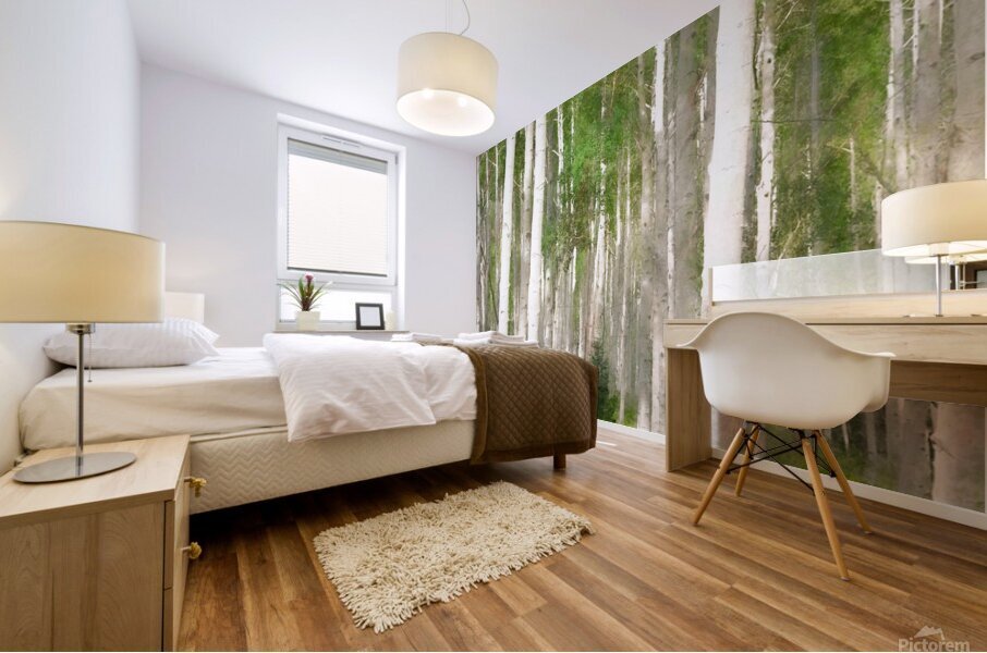 Colorado Landscapes 25 Mural print