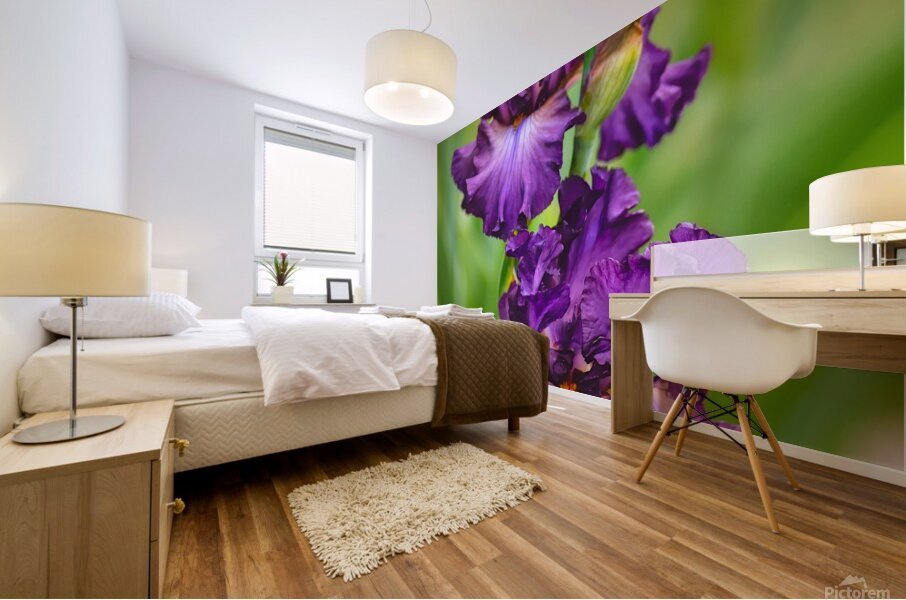 Floral Collection 2 Mural print