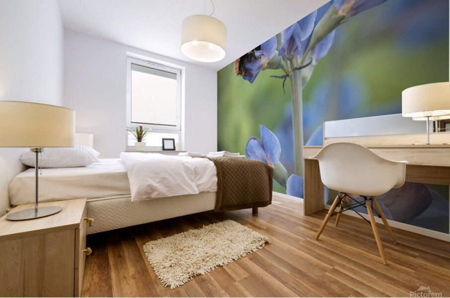 Floral Collection 2 Mural print
