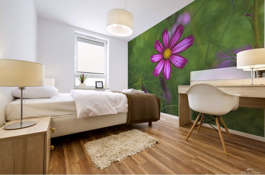Floral Collection 5 Mural print