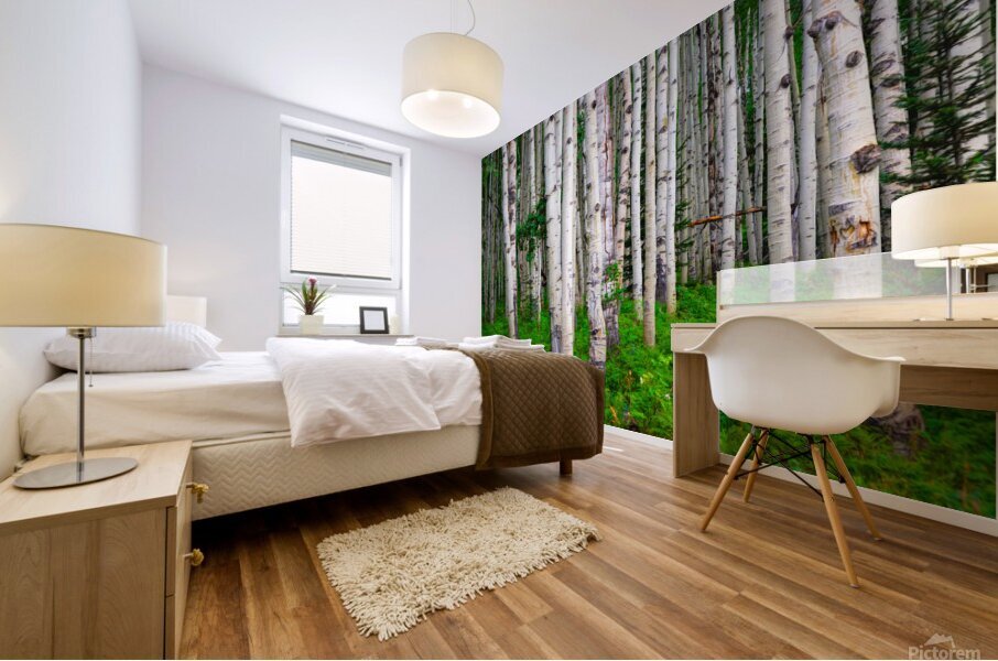 Landscape Mural print