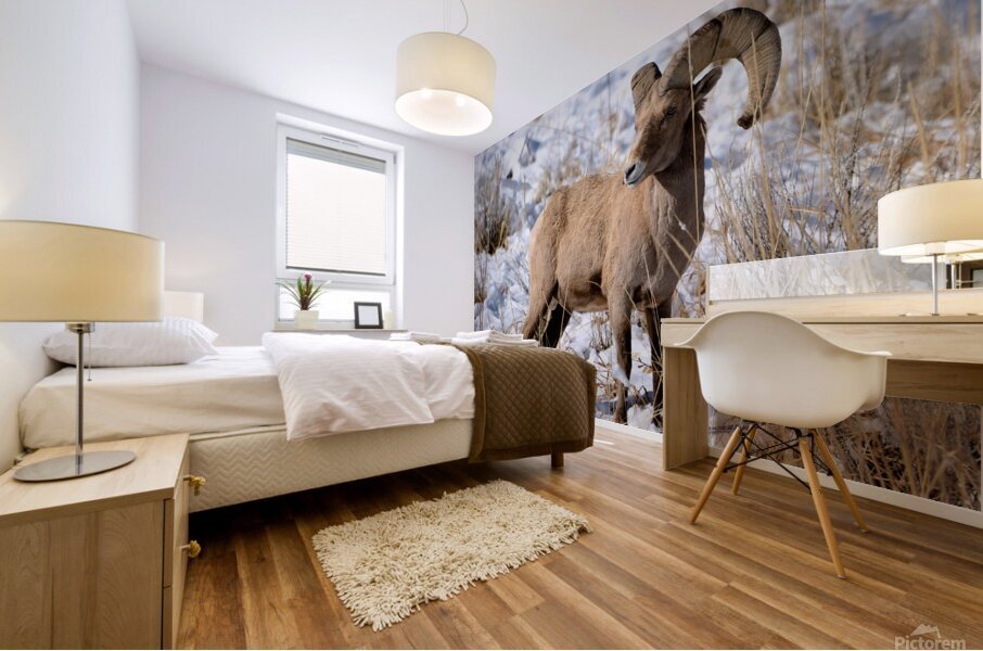 Wildlife Mural print