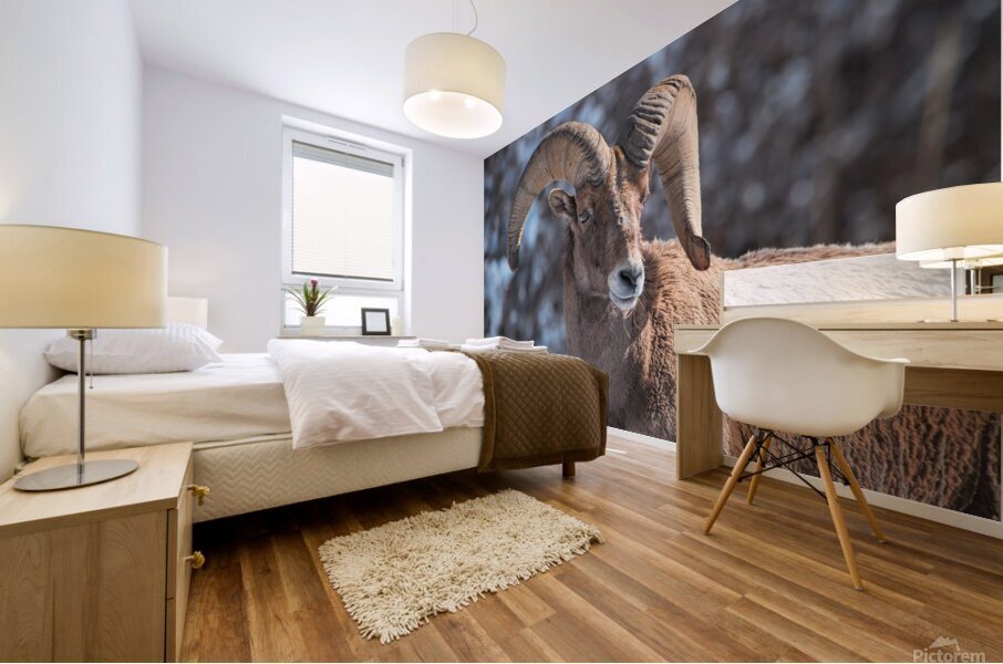 Wildlife Mural print