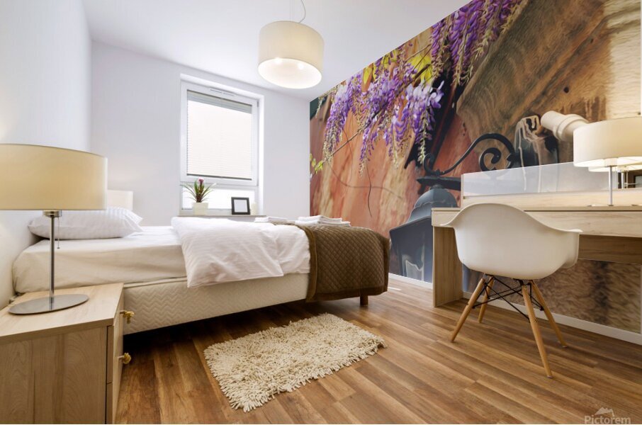 Italy Mural print