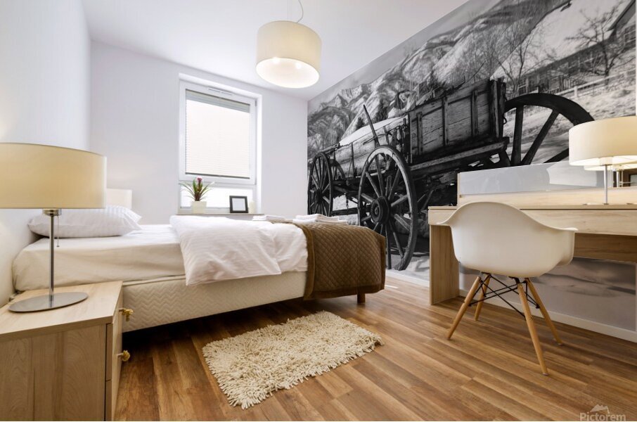black and white Mural print
