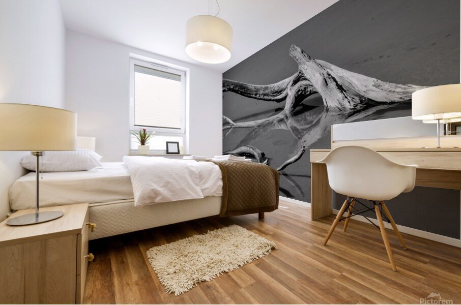 black and white reflection Mural print
