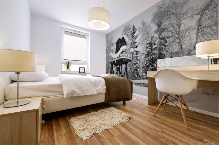 black and white Mural print