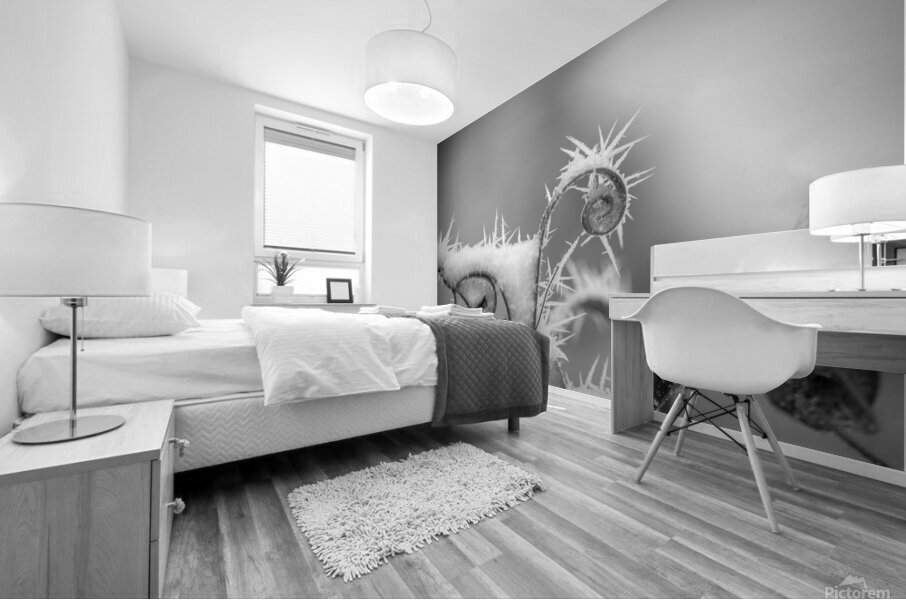 black and white Mural print