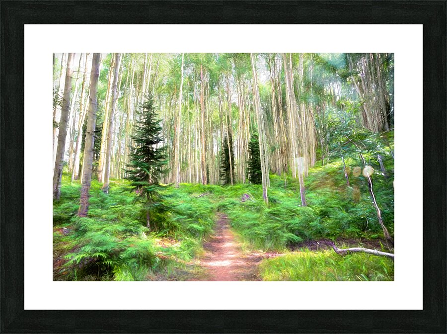 Colorado Landscapes 26 Picture Frame print