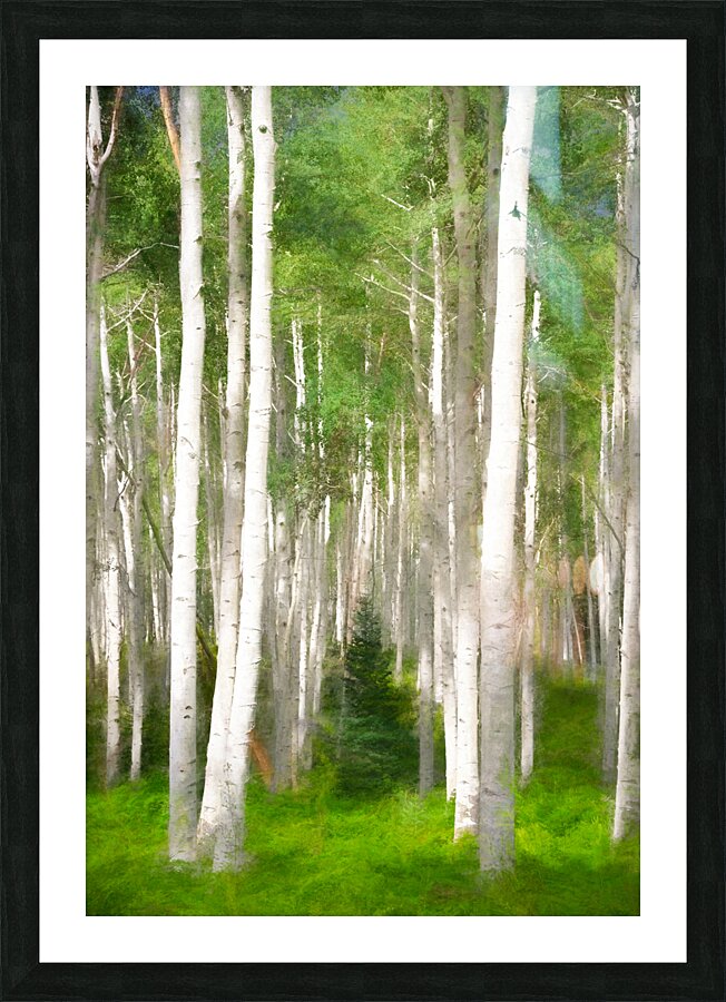 Colorado Landscapes 25 Picture Frame print